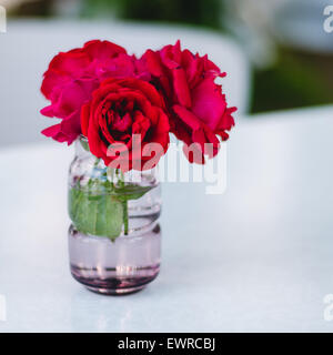 Rose rosse in un vaso Foto Stock