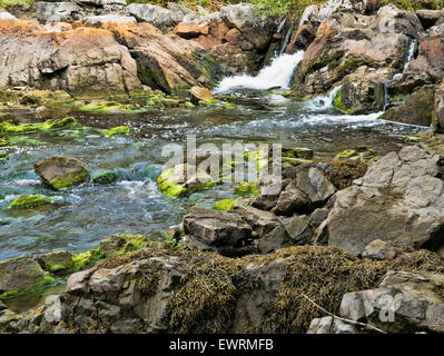 Un nuovo flusso di acqua zampillante in acqua salata con grandi massi e rocce ricoperte di alghe e di alghe. Foto Stock