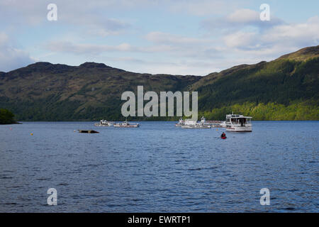 Vista sul Loch Lomond, da Tarbet, Highlands Scozzesi. Foto Stock