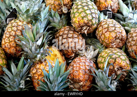 Ananassi, Haymarket Square Farmers Market, North End di Boston, Massachusetts USA Foto Stock