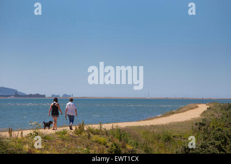 Dog Walkers sul Solent strada tra Lymington e Keyhaven Foto Stock