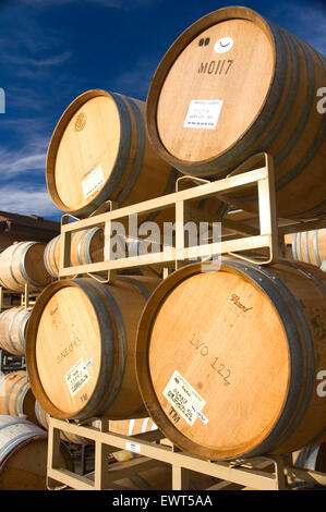 Botti da vino, Maryhill, Klickitat County, Washington Foto Stock