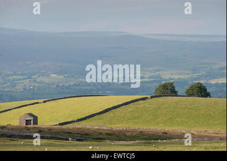 Paesaggio in alto Eden Valley vicino a Kirkby Stephen, Cumbria, Regno Unito. Foto Stock