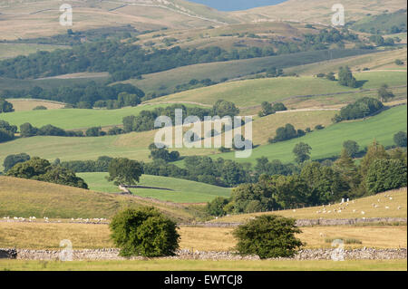 Paesaggio in alto Eden Valley vicino a Kirkby Stephen, Cumbria, Regno Unito. Foto Stock