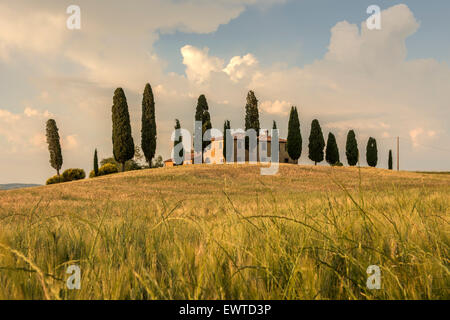 Casa sulla collina con cipressi, Crete Senesi, Toscana, Italia Foto Stock