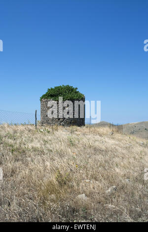 Greco le rovine del mulino abitata da un albero di fico (Ficus famiglia) e cielo blu.Thanos Village, lemnos o isola di Limnos, Grecia. Foto Stock