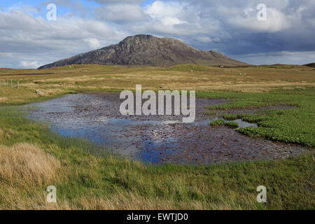 Vista di Eaval attraverso un piccolo Lochan su North Uist Ebridi Esterne Foto Stock