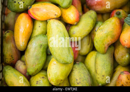 Sud Africa- Pila di frutta fresca in un mercato degli agricoltori a Pretoria Foto Stock