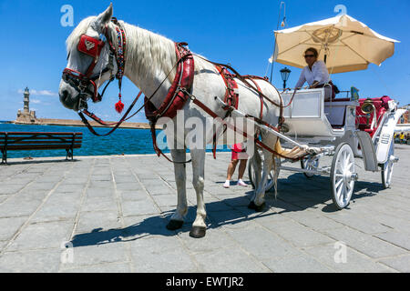 Chania Horse Creta Chania Coach Creta Grecia Horse-disegnato Foto Stock