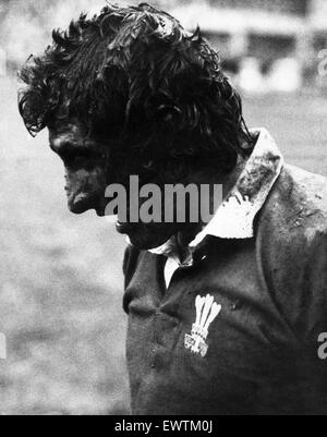 Galles Scozia 35-12, Rugby, Unione Cinque Nazioni gara di campionato a Cardiff Arms Park, sabato 5 febbraio 1972. Gareth Edwards, del Galles, scrum metà, mostrato dopo aver segnato uno dei più grandi singoli tenta mai visto presso il Parco di armi. Foto Stock