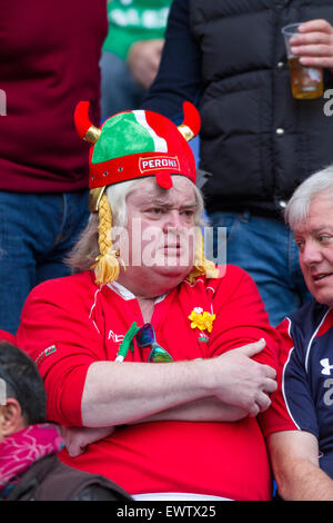 Rugby gallese seduta della ventola in folla Foto Stock