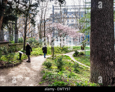 Fondation Cartier pour l'art contemporain, Fondazione Cartier galleria d'arte contemporanea, Parigi. Giardino,Theatrum Botanicum Foto Stock