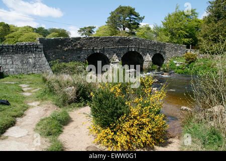 Fiume Exe gorse bush Postbridge Dartmoor Devon England Regno Unito Foto Stock