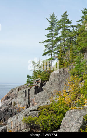 Caduta di alberi colorati nel parco vicino al Lago Superior. Ontario, Canada Foto Stock