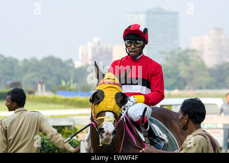 Colorata,paraocchi,a Calcutta / Kolkata Race Course durante il mese di marzo St Leger riunione. Uno dei la più grande corsa di cavalli locali in India. Costruito nel 182 Foto Stock