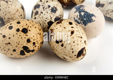 Cinque uova di quaglia su sfondo bianco, close up Foto Stock