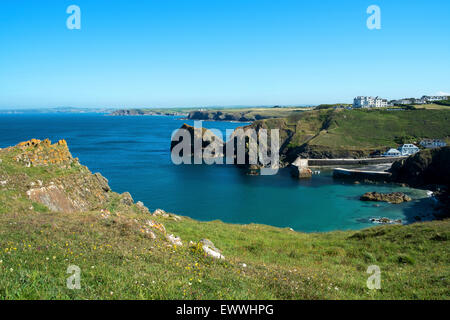 La linea di costa a Mullion Harbour in Cornovaglia, England, Regno Unito Foto Stock