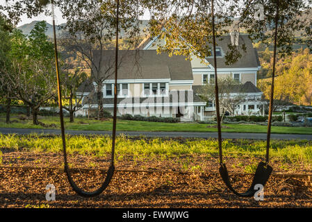 Paese set swing appeso da albero, mostrando una casa in background Foto Stock