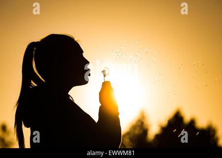 Ragazza adolescente retroilluminati da sole soffia un tarassaco seme head, semi cattura la luce del sole spazio Copia a destra in alto di immagine Foto Stock