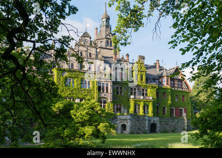 La facciata esterna dell'imponente Schloss Ramholz Foto Stock