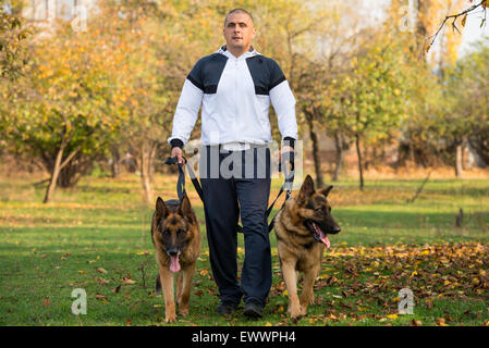 Uomo adulto passeggiate all'aperto con i suoi cani pastore tedesco Foto Stock