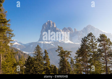 Bianco Dolomiti innevate montagne con rocce, cime innevate e verde di conifere in inverno Foto Stock