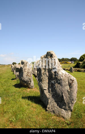 Esempi di menhir che formano parte del famoso in tutto il mondo gli allineamenti di Carnac. Queste pietre si estendono per oltre 4kmBreton pietre permanente Foto Stock