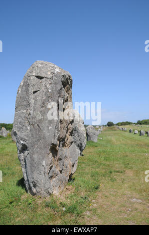 Esempi di menhir che formano parte del famoso in tutto il mondo gli allineamenti di Carnac. Queste pietre si estendono per oltre 4kmBreton pietre permanente Foto Stock