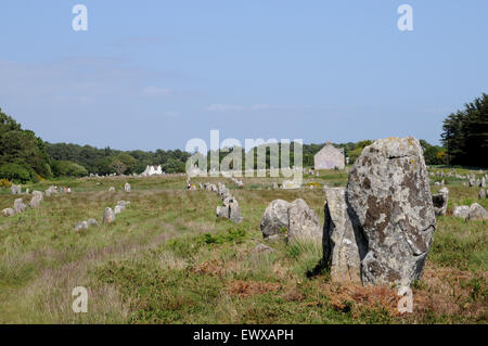 Esempi di menhir che formano parte del famoso in tutto il mondo gli allineamenti di Carnac. Queste pietre si estendono per oltre 4kmBreton pietre permanente Foto Stock