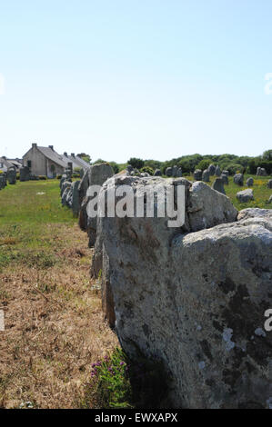 Esempi di menhir che formano parte del famoso in tutto il mondo gli allineamenti di Carnac. Queste pietre si estendono per oltre 4kmBreton pietre permanente Foto Stock