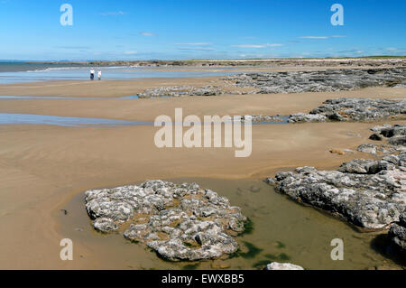 Piscine di roccia, resto Bay, Porthcawl. Galles del Sud, Regno Unito. Foto Stock