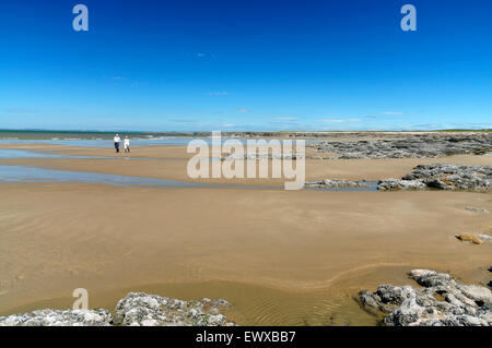 Piscine di roccia, resto Bay, Porthcawl. Galles del Sud, Regno Unito. Foto Stock