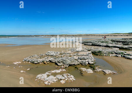 Piscine di roccia, resto Bay, Porthcawl. Galles del Sud, Regno Unito. Foto Stock