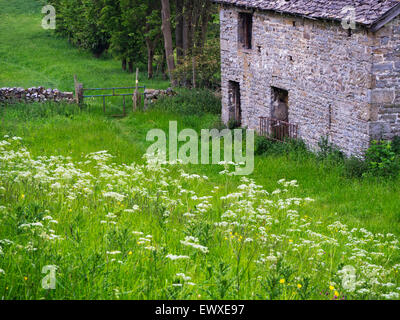 Campo fienile vicino al West Burton a Wensleydale Yorkshire Dales North Yorkshire, Inghilterra Foto Stock