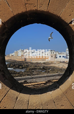 Vista da Skala de la Ville di gabbiani sorvolano Essaouira sulla ventosa costa atlantica, in Marocco, Africa del Nord Foto Stock