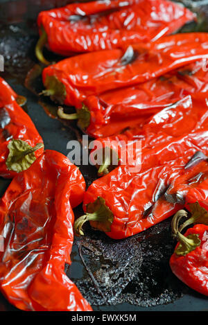 Arrosto di peperoni rossi sul vassoio in acciaio Foto Stock