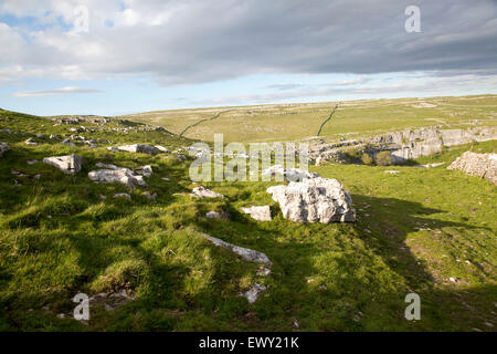 Carbonifero paesaggi di pietra calcarea, Malham, Yorkshire Dales National Park, England, Regno Unito Foto Stock