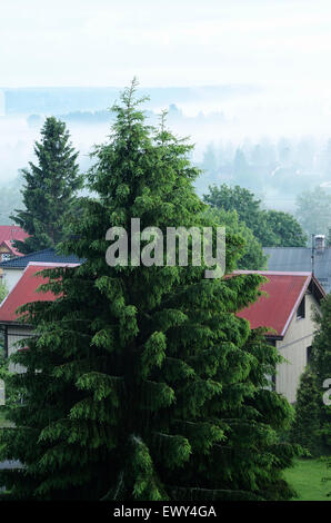 Vista della piccola cittadina finlandese nella nebbia Foto Stock