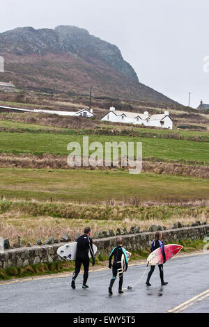 Surfisti dedicato a copertura completa muta voce al parcheggio avente braved le fredde acque invernali a Whitesands Beach / Ba Foto Stock