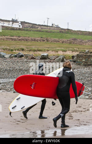 Surfisti dedicato a copertura completa muta voce al parcheggio avente braved le fredde acque invernali a Whitesands Beach / Ba Foto Stock