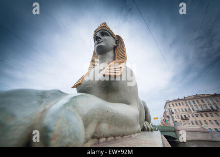 Sphinx montato vicino l'Egiziano ponte sopra il fiume Fontanka a San Pietroburgo, Russia Foto Stock