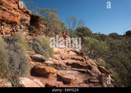 Australia, NT, Watarrka National Park. Kings Canyon, Rim a piedi. Rocky percorso escursionistico. Foto Stock