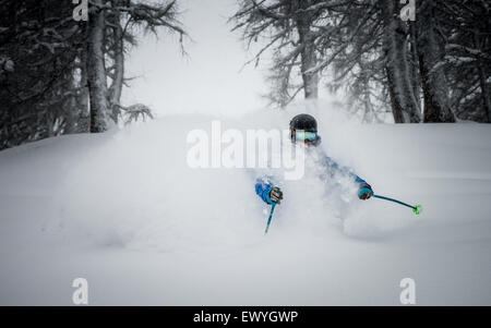 Uomo sci in polvere in montagna, Austria Foto Stock