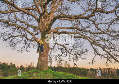 Ragazzo seduto in una struttura ad albero su una collina a guardare il tramonto Foto Stock