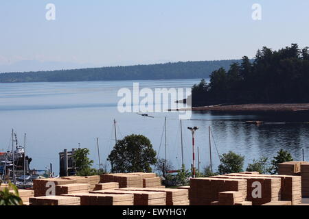 Sfondo ideale di legname legno cantiere in Canada Columbia Britannica, splendida insenatura, acqua di lago Foto Stock