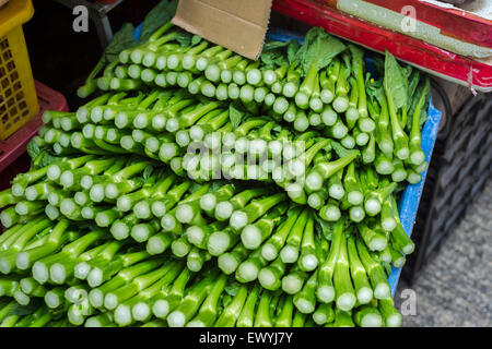 Cavoli cinesi nel mercato Foto Stock
