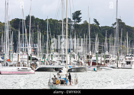 Yacht ormeggiati a Westhaven porto di Auckland. La città delle vele. Auckland, Nuova Zelanda Foto Stock