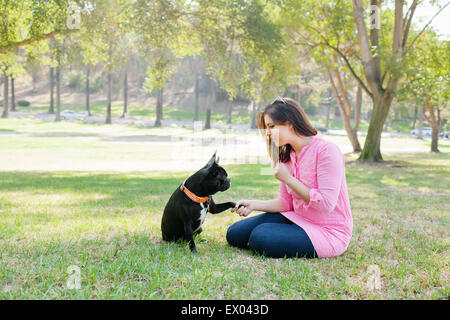 Simpatico cane dando paw al proprietario Foto Stock