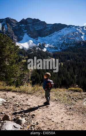 Il Toddler escursionismo, Catherine's Pass Trail, Albion bacino, Alta, Utah, Stati Uniti d'America Foto Stock