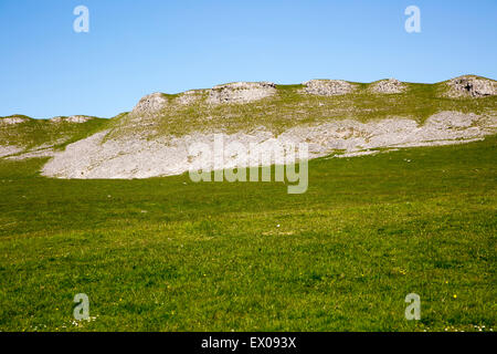 Grande collina Scar scar e ghiaione, calcare carbonifero, Yorkshire Dales National Park, England, Regno Unito Foto Stock